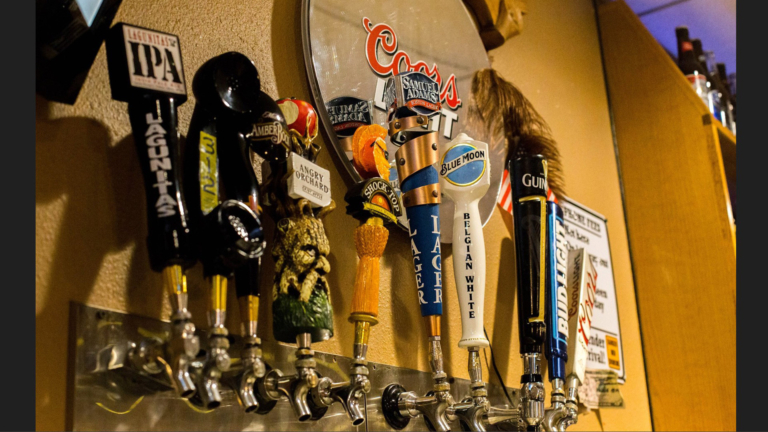 sc place bus hz1 backdoor lounge 1 768x432