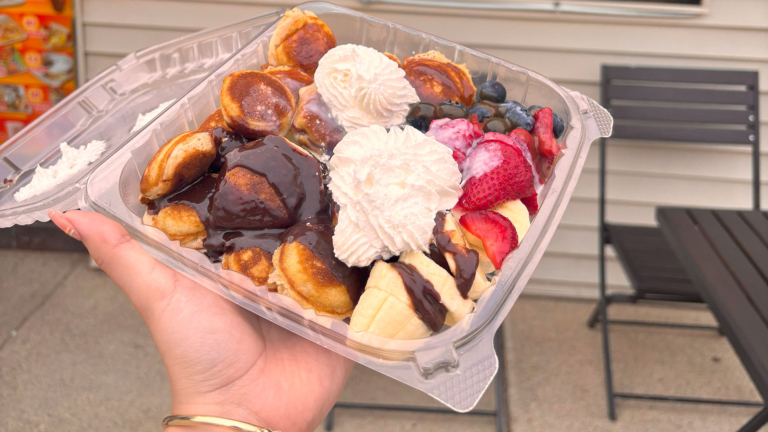 sc place bus hz1 el chamoyito 1 768x432