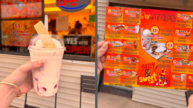 sc place bus hz1 el chamoyito 2 768x432