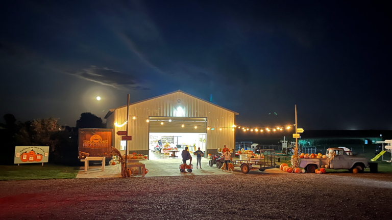 sc place bus hz1 fields fun 1 768x432