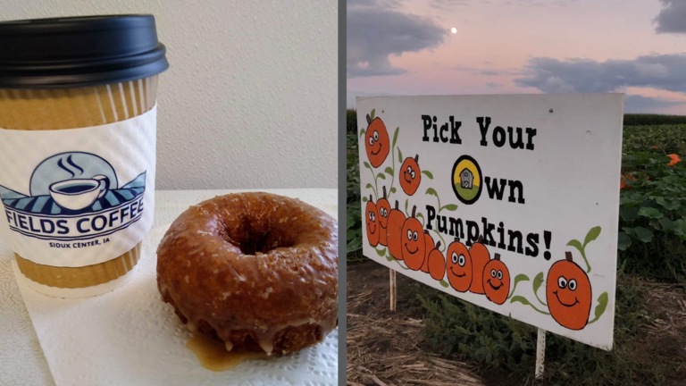 sc place bus hz1 fields fun 2 768x432