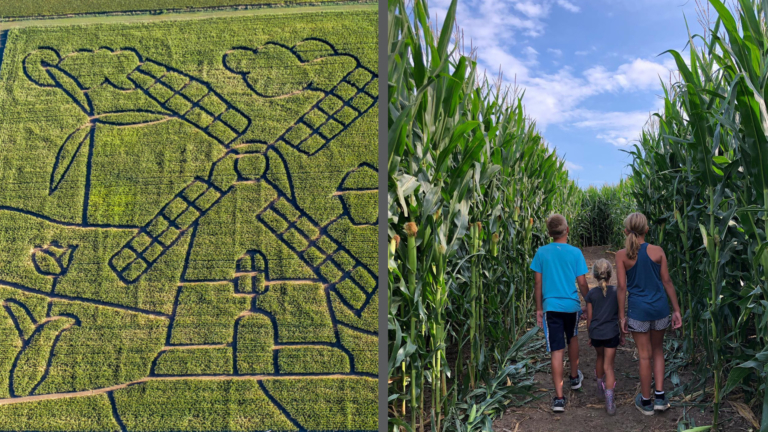 sc place bus hz1 fields fun 3 768x432