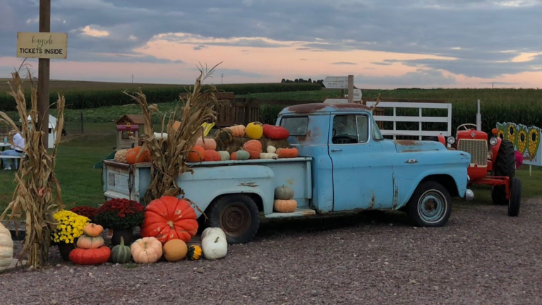 sc place bus hz1 fields fun 4 768x432