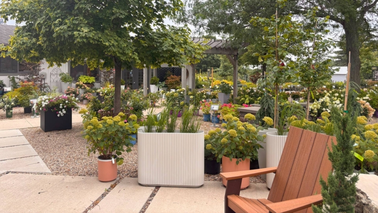 sc place bus hz1 greenworld 1 768x432