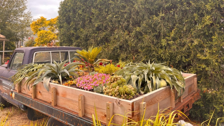 sc place bus hz1 greenworld 2 768x432