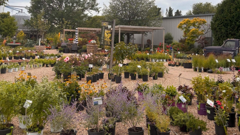 sc place bus hz1 greenworld 3 768x432