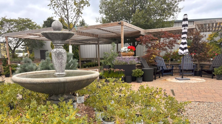 sc place bus hz1 greenworld 4 768x432