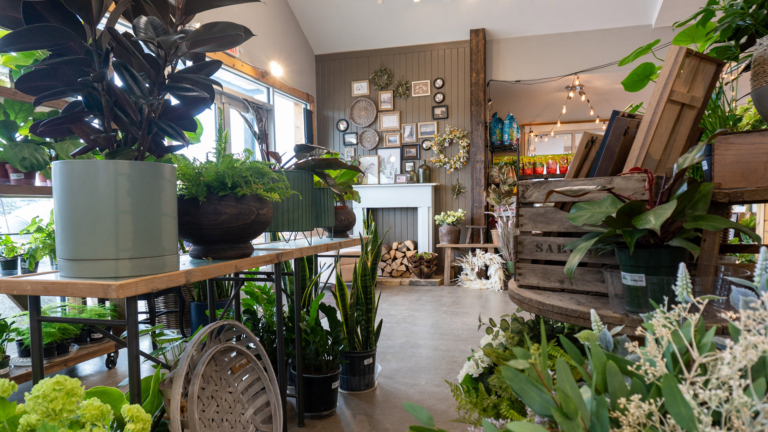 sc place bus hz1 ground effects 1 768x432