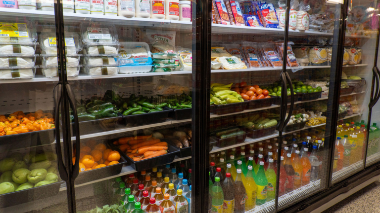 sc place bus hz1 nuevo vallarta 2 768x432