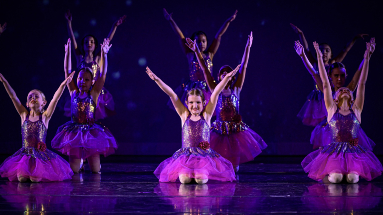 sc place bus hz1 robins school dance 2 768x432