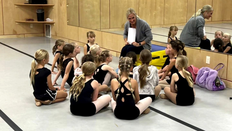 sc place bus hz1 robins school dance 3 768x432