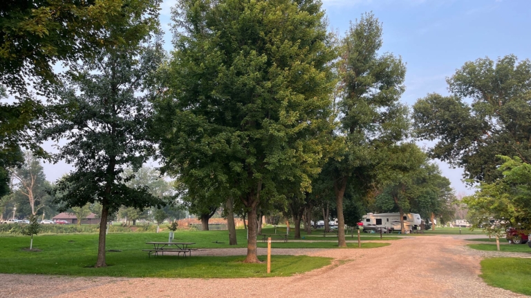 sc place bus hz1 sandy hollow 2 768x432