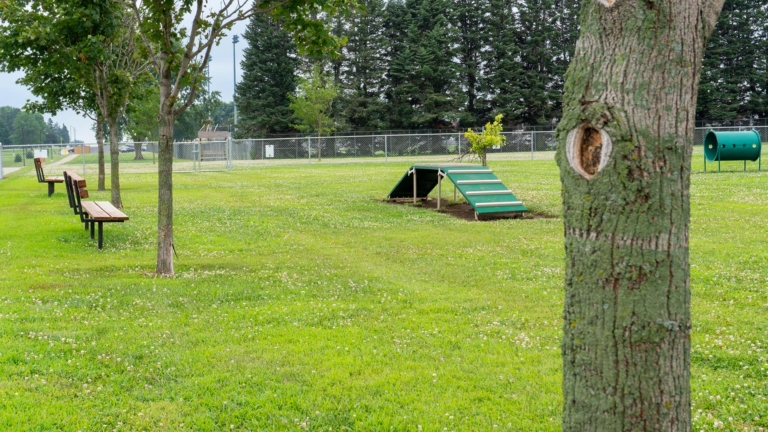 sc place park hz1 dog park 1 768x432