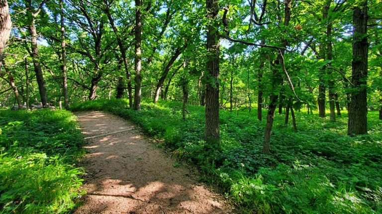 sc place park hz1 oak grove state park 1 768x432