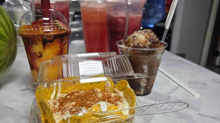 sc place bus hz1 la fresita 2 768x432