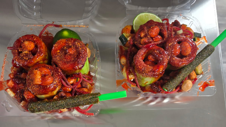 sc place bus hz1 la fresita 3 768x432